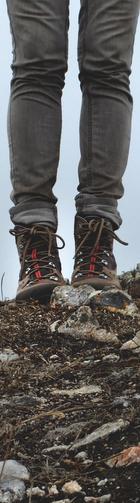 Quia commodi quia quo ea